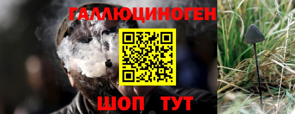 Галлюциногенные грибы GOLDEN TEACHER  Вход с VPN  Галлюциногенные грибы Psilocybe  Заволжье 