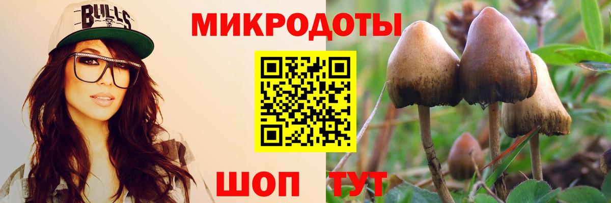 Псилоцибиновые грибы Magic Shrooms Заволжье